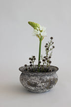 Tai Ono Chikei Series Tsuchi-Kasa Volcanic Ash Pot