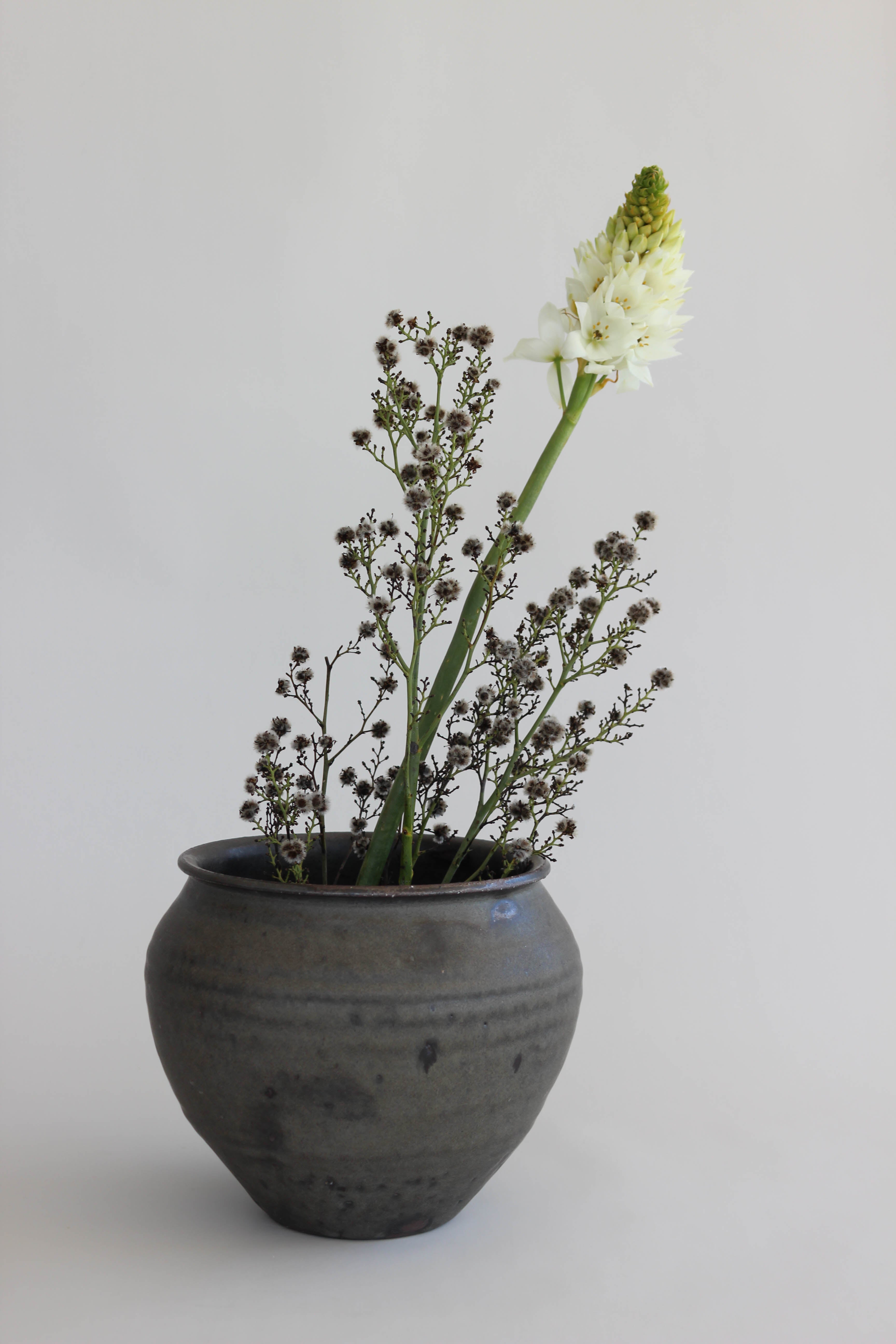Tai Ono Chikei Series Kurotsuchi Vase